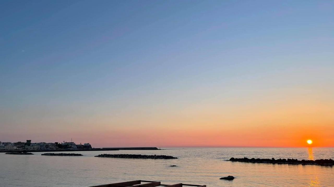 Blue Apartment Forio di Ischia Dış mekan fotoğraf
