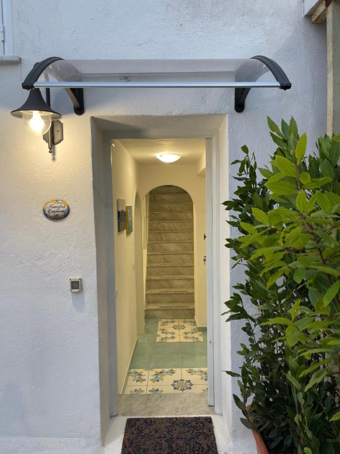 Blue Apartment Forio di Ischia Dış mekan fotoğraf